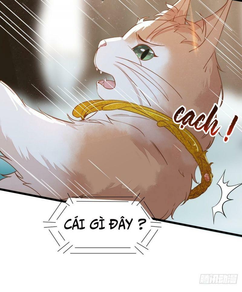 Sát Thủ Vương Phi Không Dễ Chọc Chapter 57 - Next Chapter 58