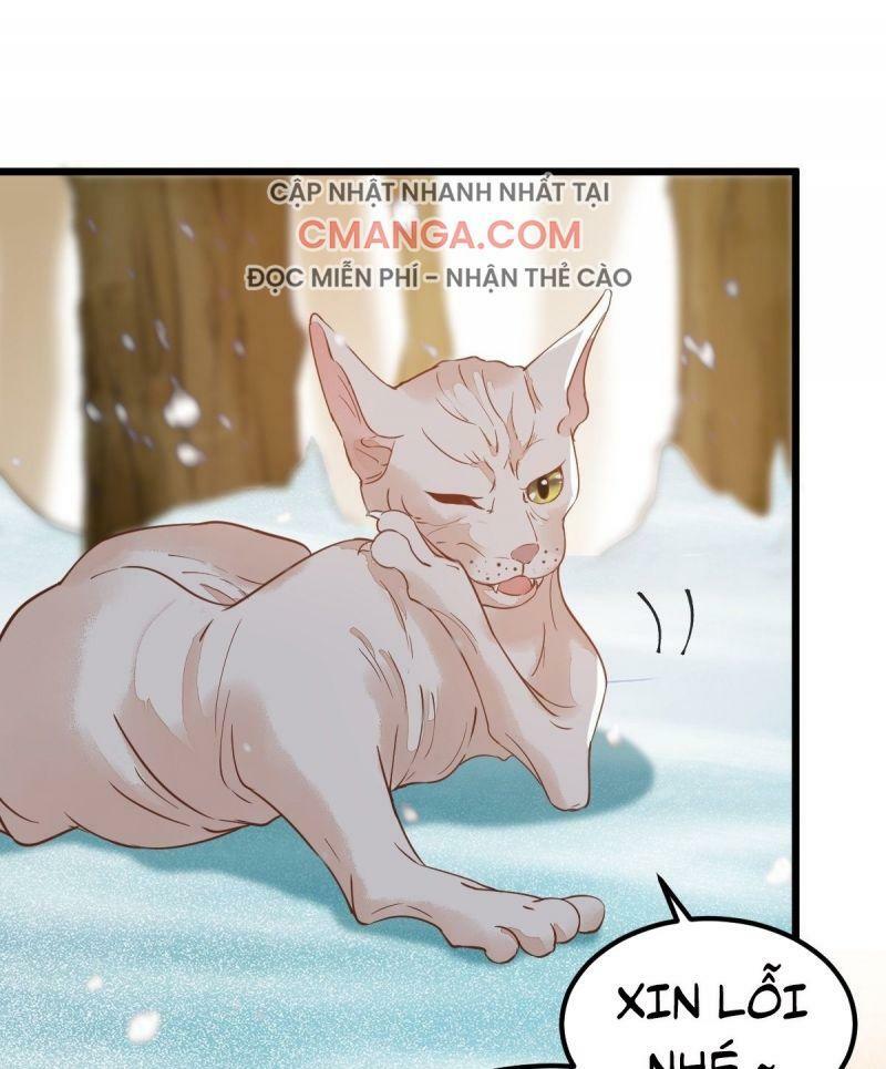 Sát Thủ Vương Phi Không Dễ Chọc Chapter 57 - Next Chapter 58