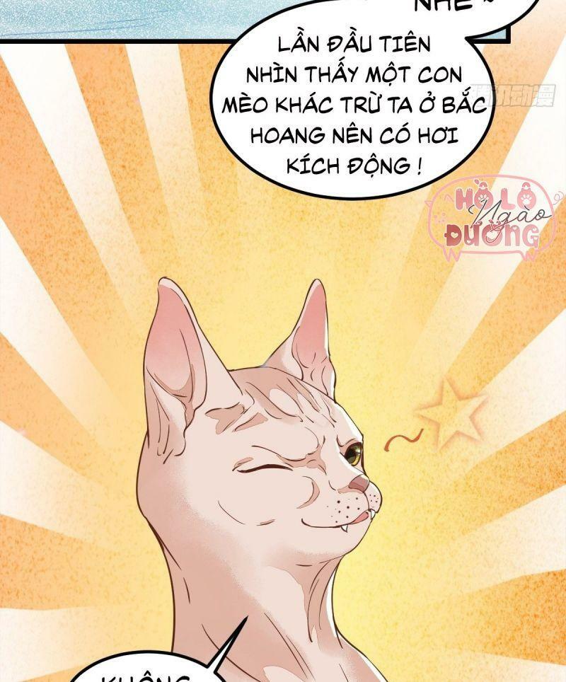 Sát Thủ Vương Phi Không Dễ Chọc Chapter 57 - Next Chapter 58