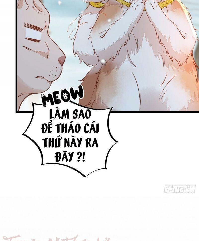 Sát Thủ Vương Phi Không Dễ Chọc Chapter 57 - Next Chapter 58