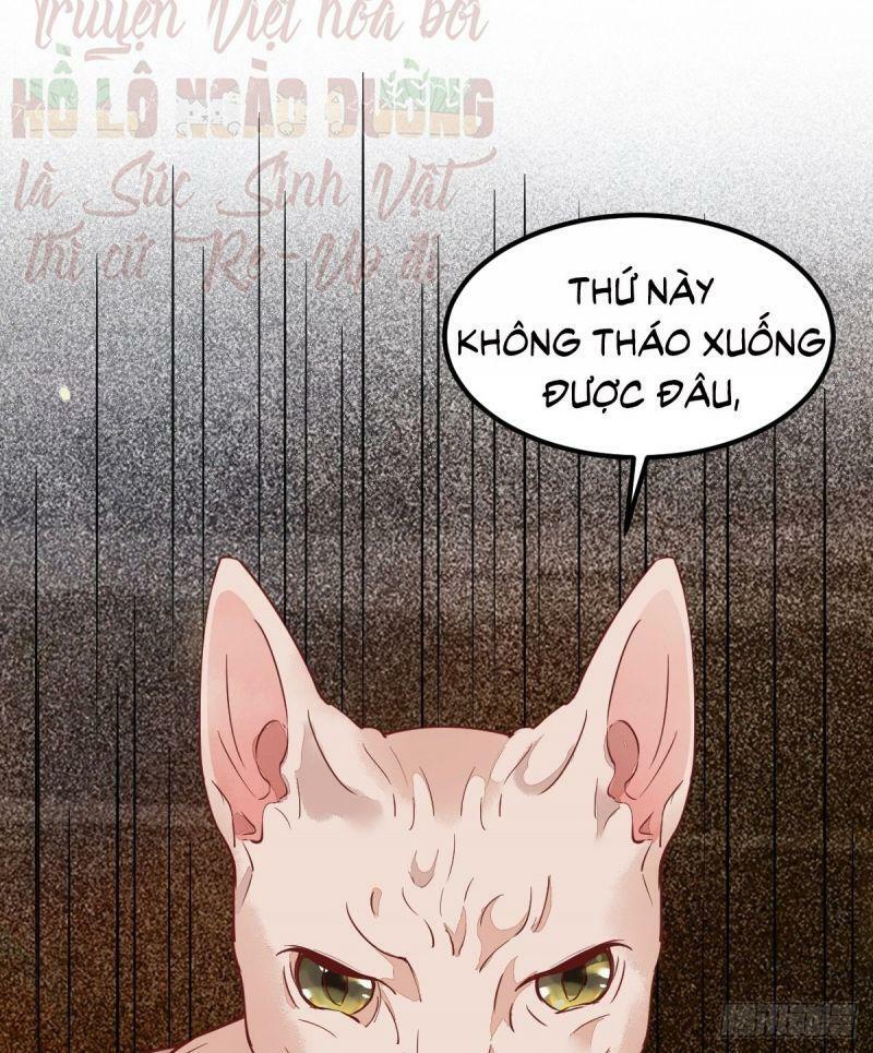 Sát Thủ Vương Phi Không Dễ Chọc Chapter 57 - Next Chapter 58