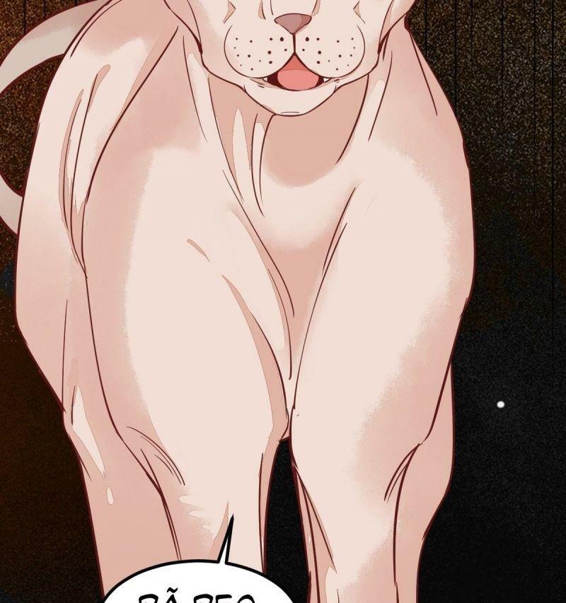 Sát Thủ Vương Phi Không Dễ Chọc Chapter 57 - Next Chapter 58