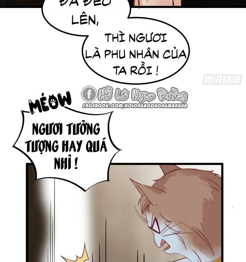 Sát Thủ Vương Phi Không Dễ Chọc Chapter 57 - Next Chapter 58