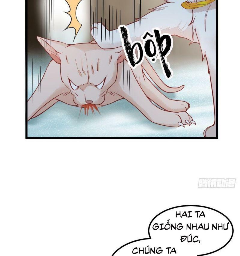 Sát Thủ Vương Phi Không Dễ Chọc Chapter 57 - Next Chapter 58