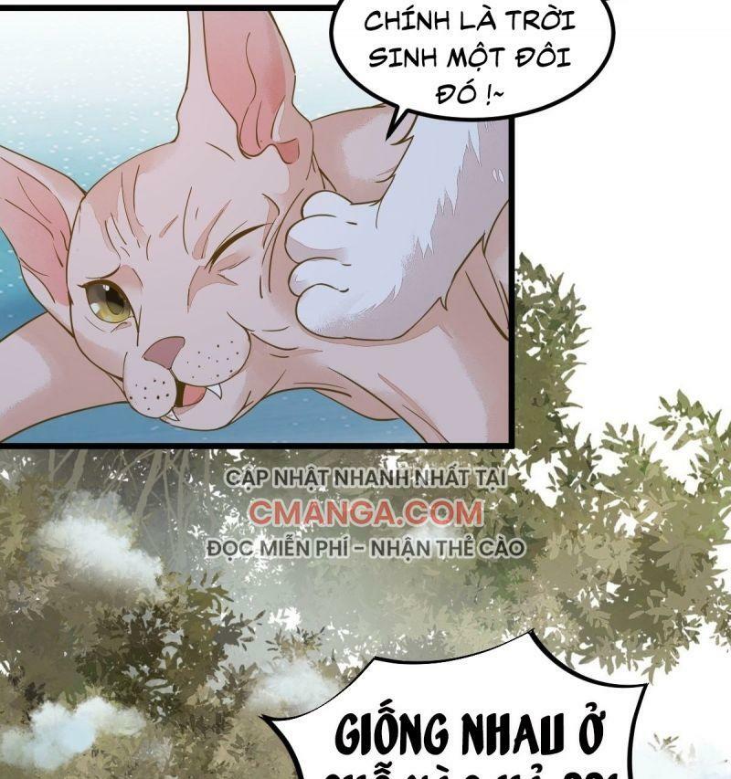 Sát Thủ Vương Phi Không Dễ Chọc Chapter 57 - Next Chapter 58