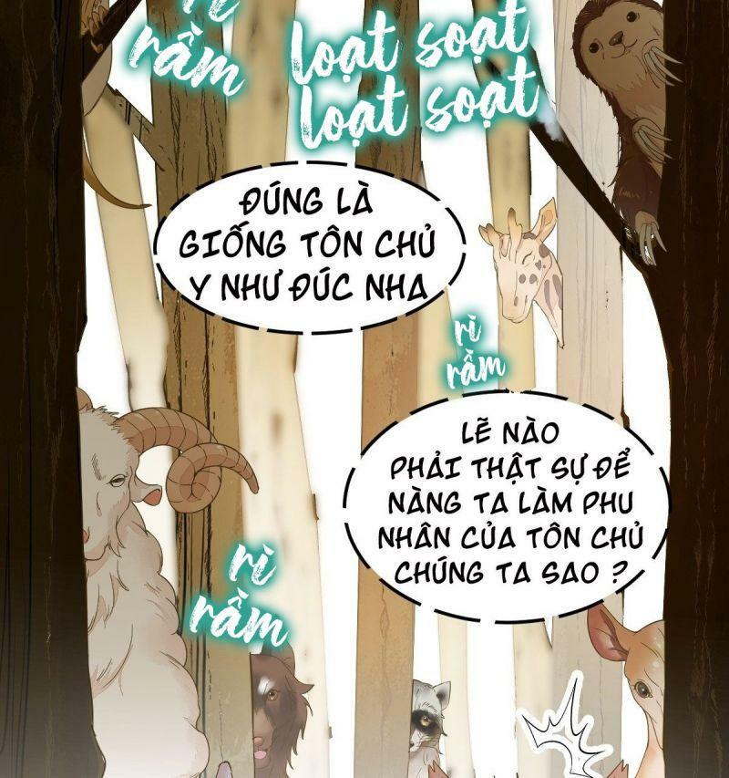 Sát Thủ Vương Phi Không Dễ Chọc Chapter 57 - Next Chapter 58