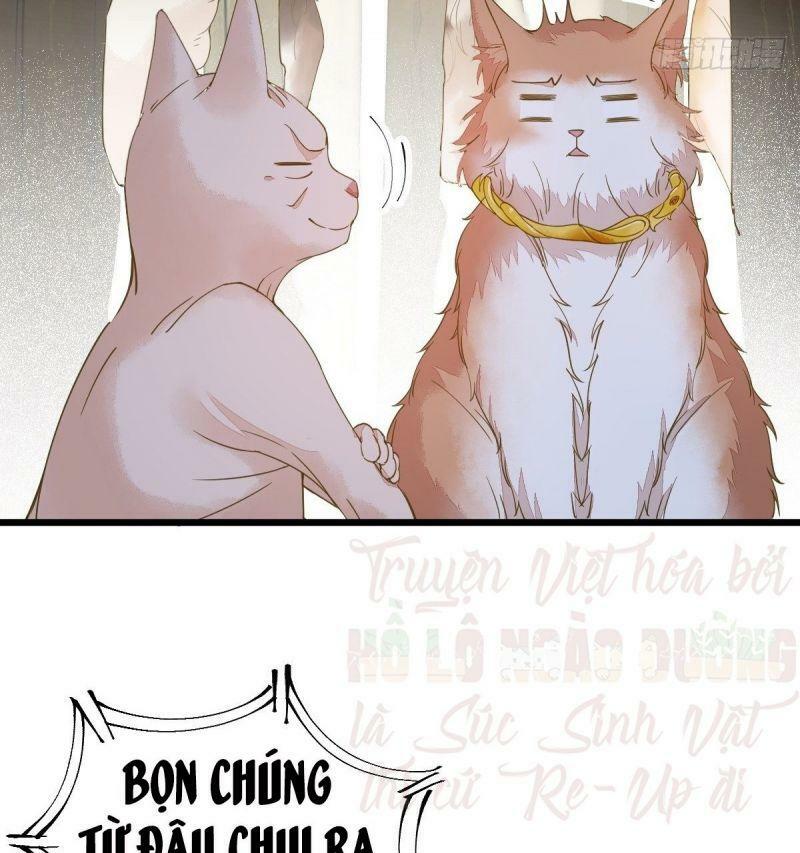 Sát Thủ Vương Phi Không Dễ Chọc Chapter 57 - Next Chapter 58