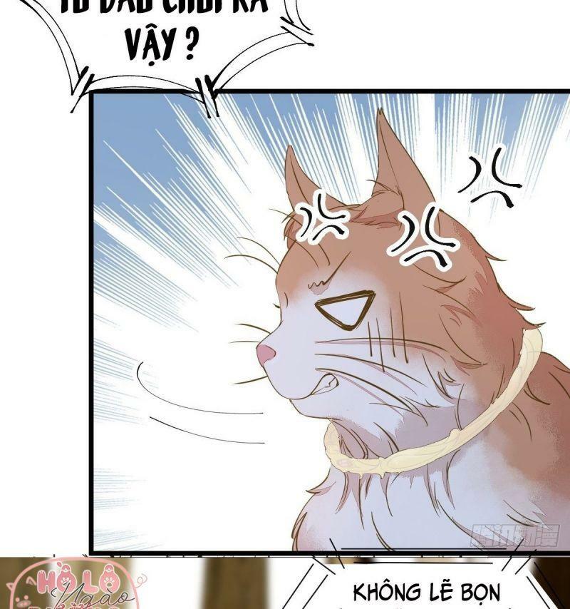 Sát Thủ Vương Phi Không Dễ Chọc Chapter 57 - Next Chapter 58