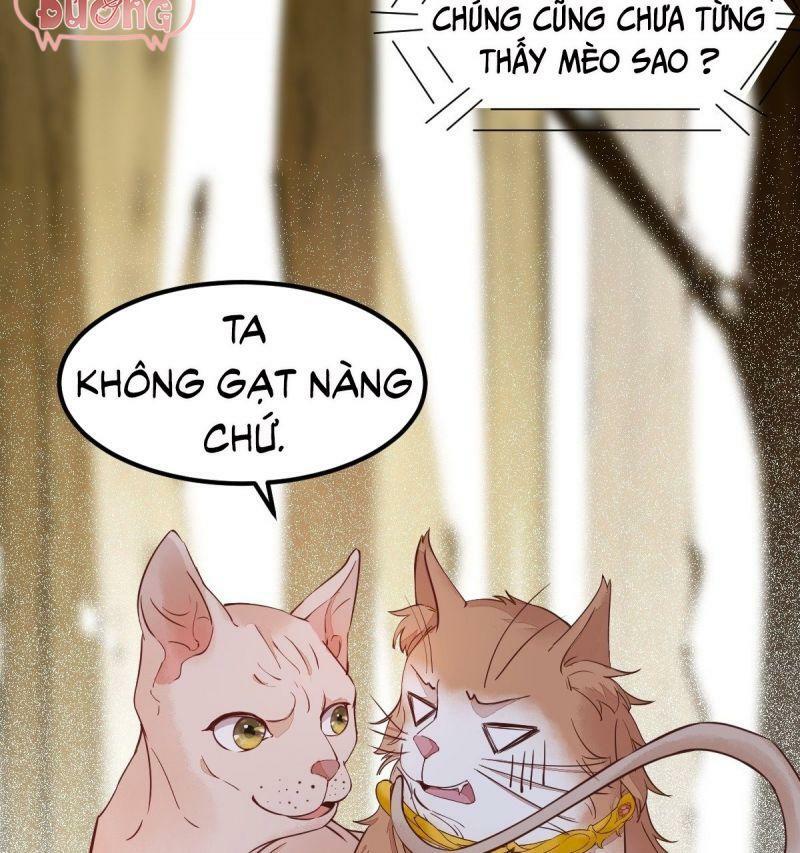 Sát Thủ Vương Phi Không Dễ Chọc Chapter 57 - Next Chapter 58