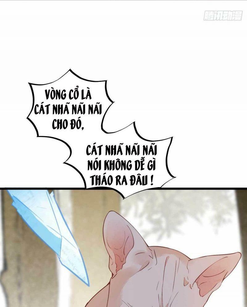 Sát Thủ Vương Phi Không Dễ Chọc Chapter 58 - Next Chapter 59