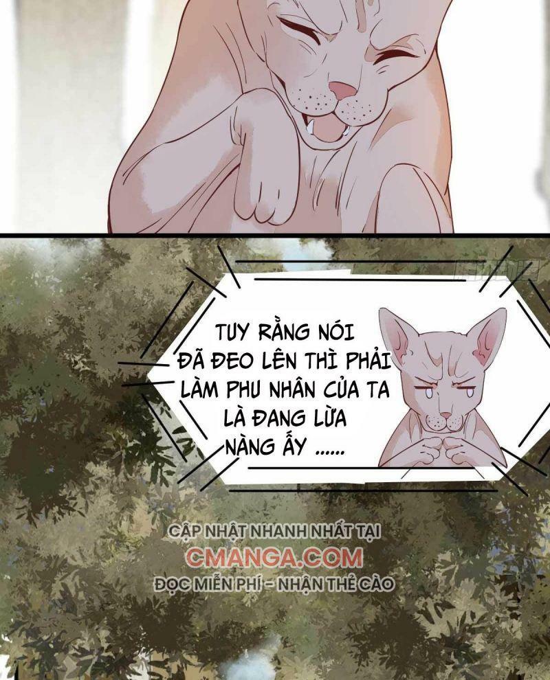 Sát Thủ Vương Phi Không Dễ Chọc Chapter 58 - Next Chapter 59