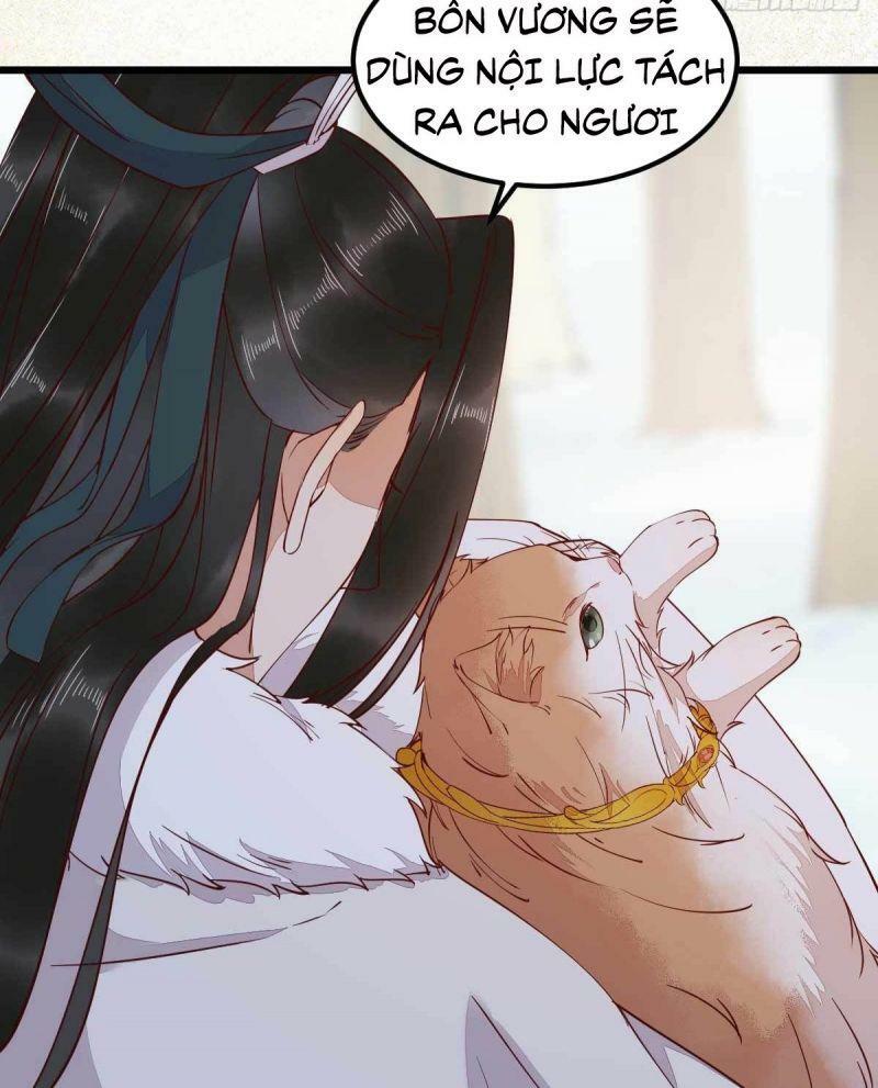 Sát Thủ Vương Phi Không Dễ Chọc Chapter 58 - Next Chapter 59