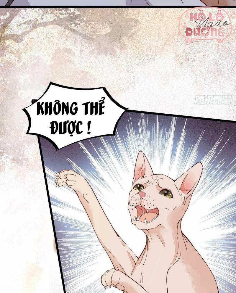 Sát Thủ Vương Phi Không Dễ Chọc Chapter 58 - Next Chapter 59