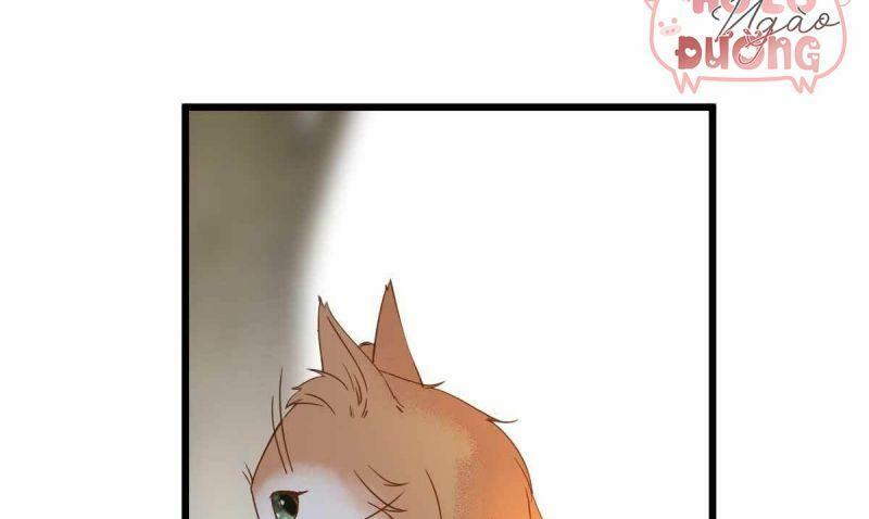 Sát Thủ Vương Phi Không Dễ Chọc Chapter 58 - Next Chapter 59