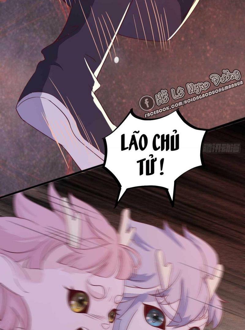 Sát Thủ Vương Phi Không Dễ Chọc Chapter 59 - Next Chapter 60