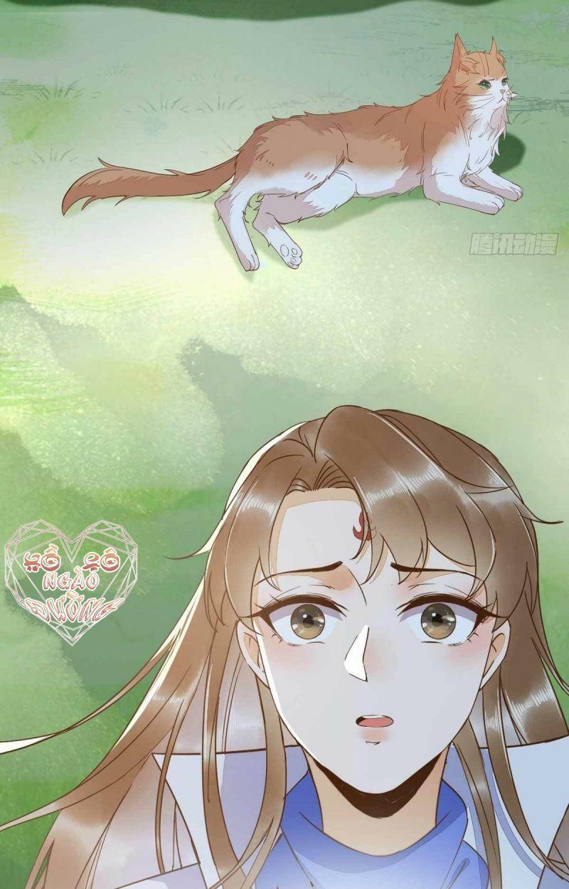 Sát Thủ Vương Phi Không Dễ Chọc Chapter 59 - Next Chapter 60