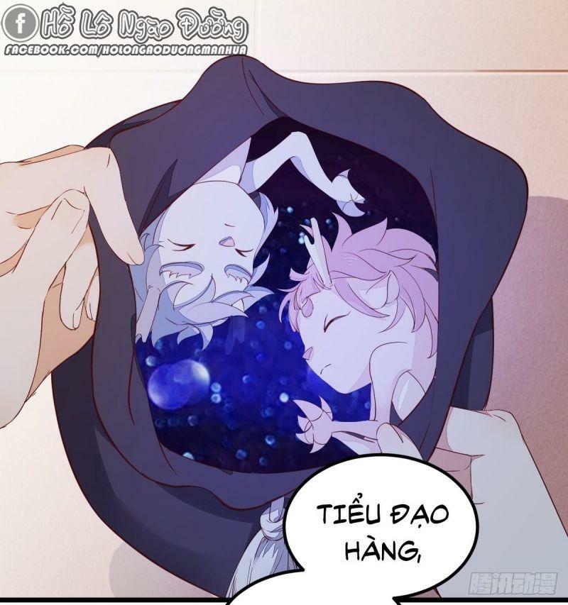 Sát Thủ Vương Phi Không Dễ Chọc Chapter 60 - Next Chapter 61