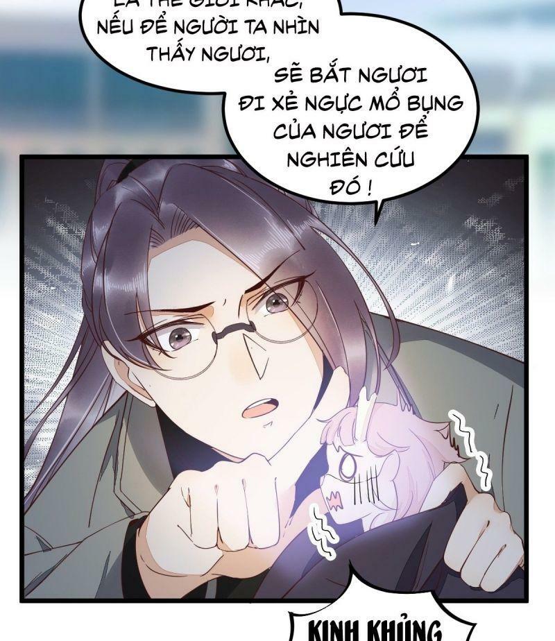 Sát Thủ Vương Phi Không Dễ Chọc Chapter 60 - Next Chapter 61