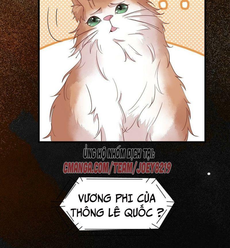 Sát Thủ Vương Phi Không Dễ Chọc Chapter 60 - Next Chapter 61
