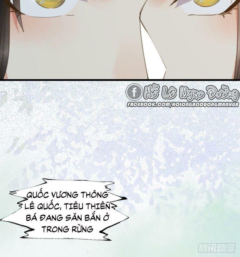 Sát Thủ Vương Phi Không Dễ Chọc Chapter 61 - Next Chapter 62