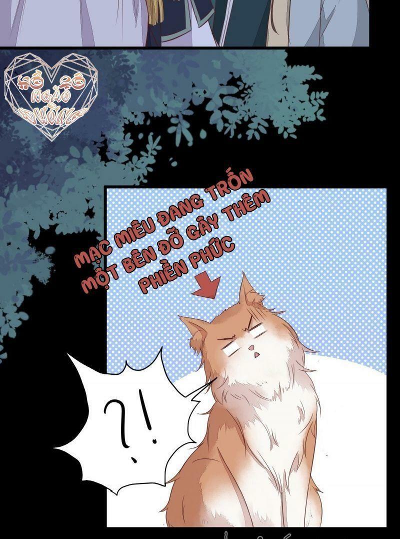 Sát Thủ Vương Phi Không Dễ Chọc Chapter 63 - Next Chapter 64