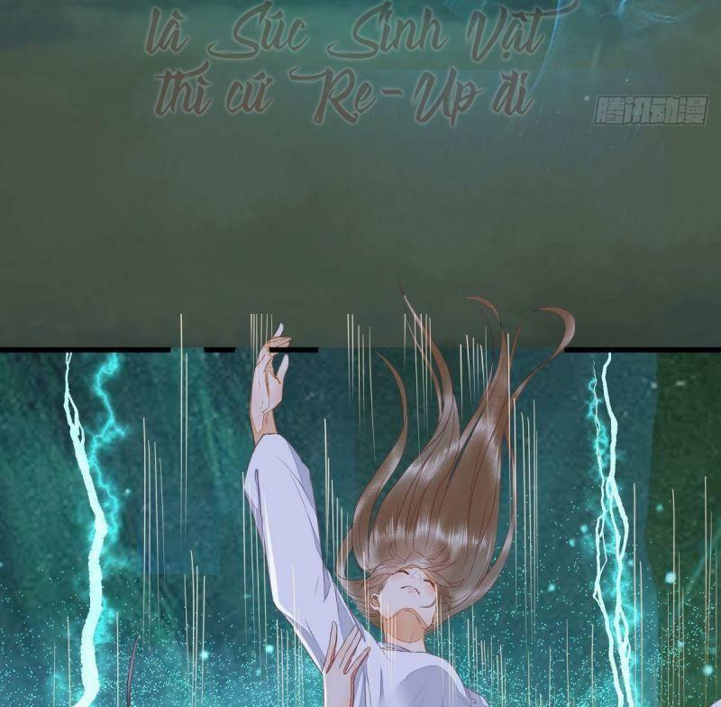 Sát Thủ Vương Phi Không Dễ Chọc Chapter 63 - Next Chapter 64