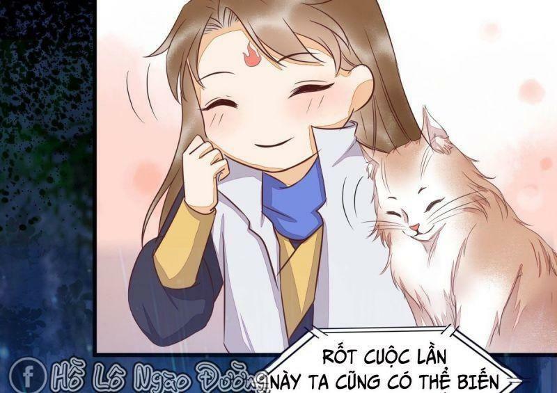 Sát Thủ Vương Phi Không Dễ Chọc Chapter 63 - Next Chapter 64