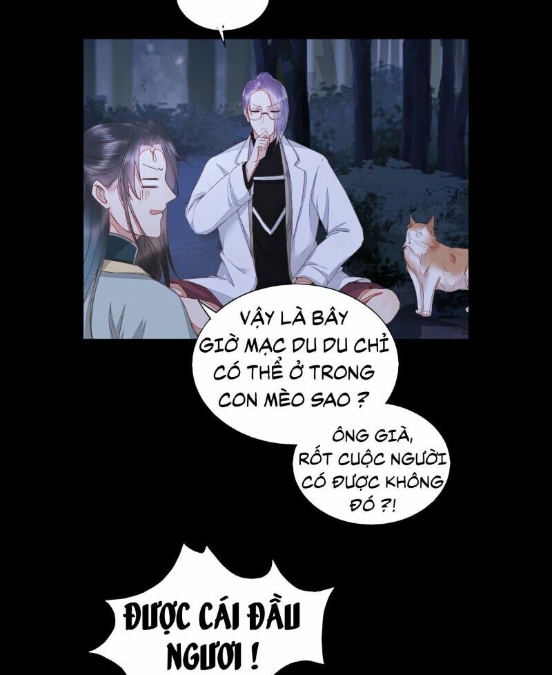 Sát Thủ Vương Phi Không Dễ Chọc Chapter 64 - Next Chapter 65