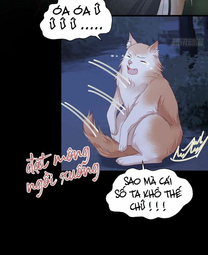 Sát Thủ Vương Phi Không Dễ Chọc Chapter 64 - Next Chapter 65