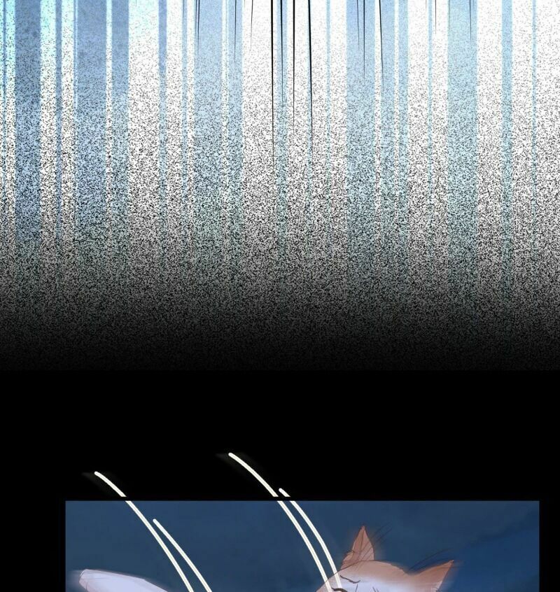 Sát Thủ Vương Phi Không Dễ Chọc Chapter 64 - Next Chapter 65