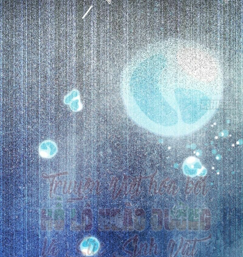 Sát Thủ Vương Phi Không Dễ Chọc Chapter 64 - Next Chapter 65