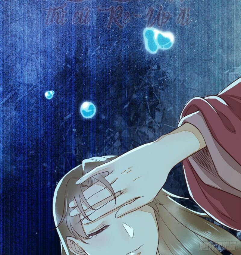 Sát Thủ Vương Phi Không Dễ Chọc Chapter 64 - Next Chapter 65