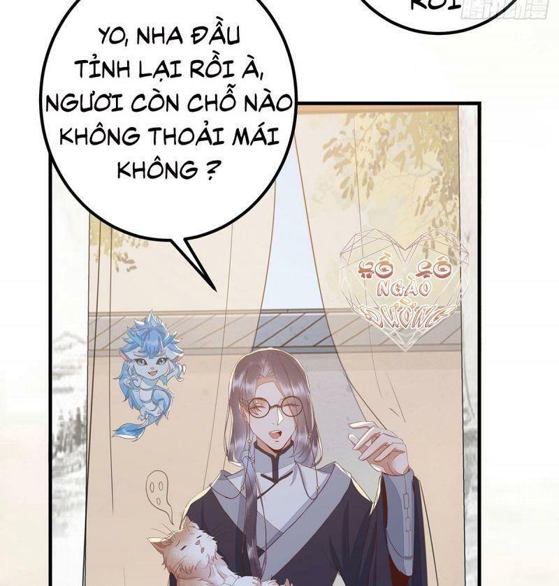 Sát Thủ Vương Phi Không Dễ Chọc Chapter 65 - Next Chapter 66