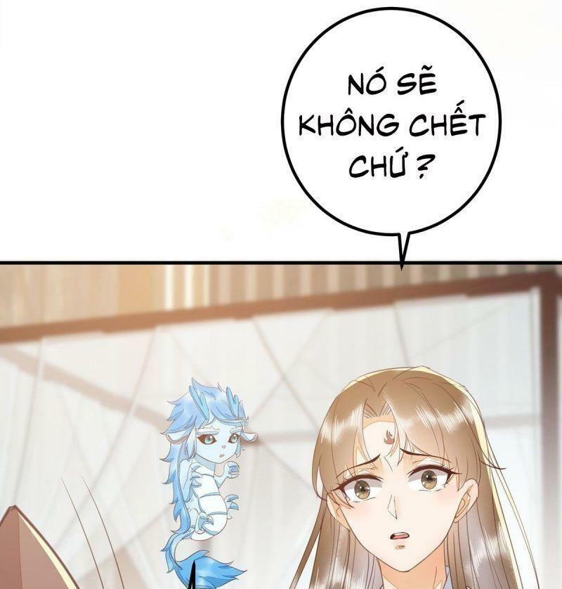 Sát Thủ Vương Phi Không Dễ Chọc Chapter 65 - Next Chapter 66