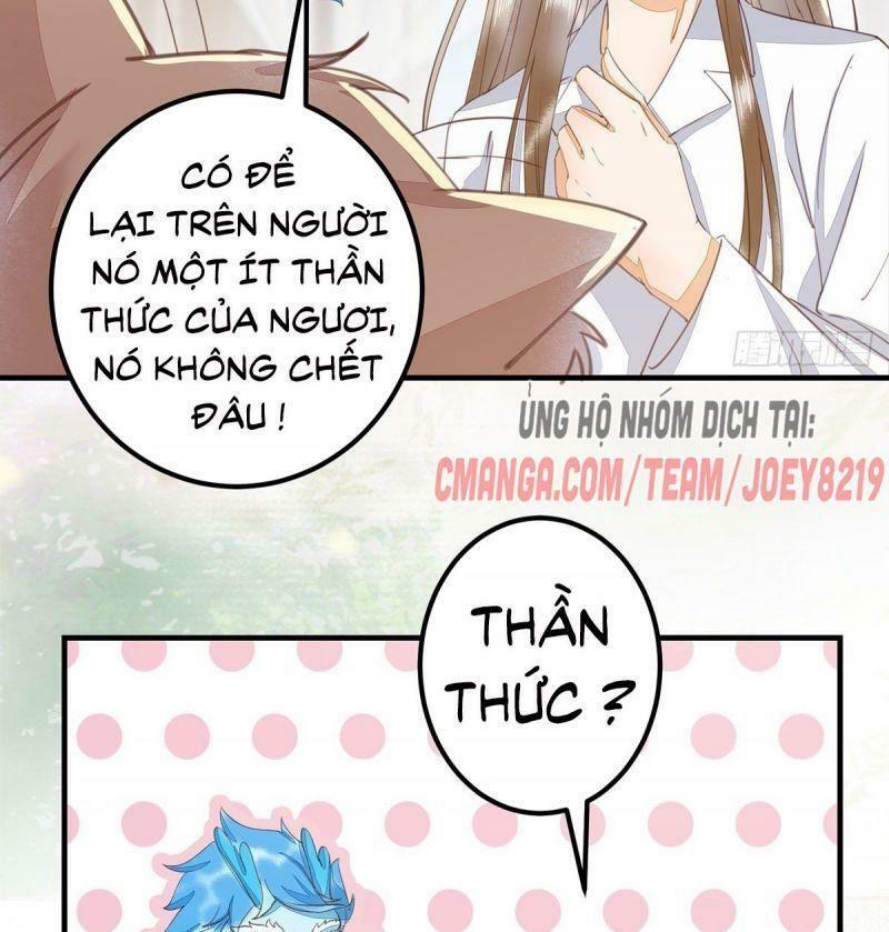 Sát Thủ Vương Phi Không Dễ Chọc Chapter 65 - Next Chapter 66