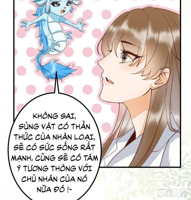 Sát Thủ Vương Phi Không Dễ Chọc Chapter 65 - Next Chapter 66