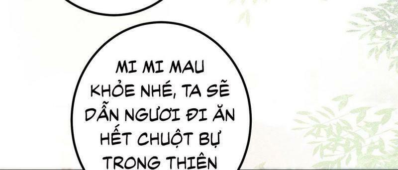 Sát Thủ Vương Phi Không Dễ Chọc Chapter 65 - Next Chapter 66