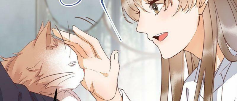 Sát Thủ Vương Phi Không Dễ Chọc Chapter 65 - Next Chapter 66