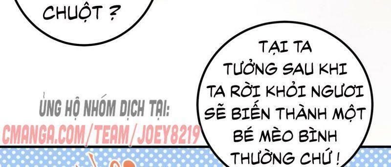 Sát Thủ Vương Phi Không Dễ Chọc Chapter 65 - Next Chapter 66