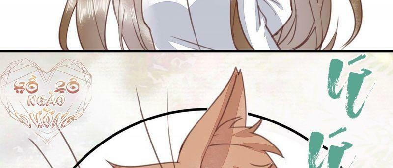 Sát Thủ Vương Phi Không Dễ Chọc Chapter 65 - Next Chapter 66