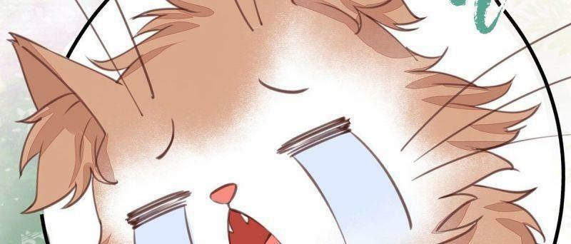 Sát Thủ Vương Phi Không Dễ Chọc Chapter 65 - Next Chapter 66