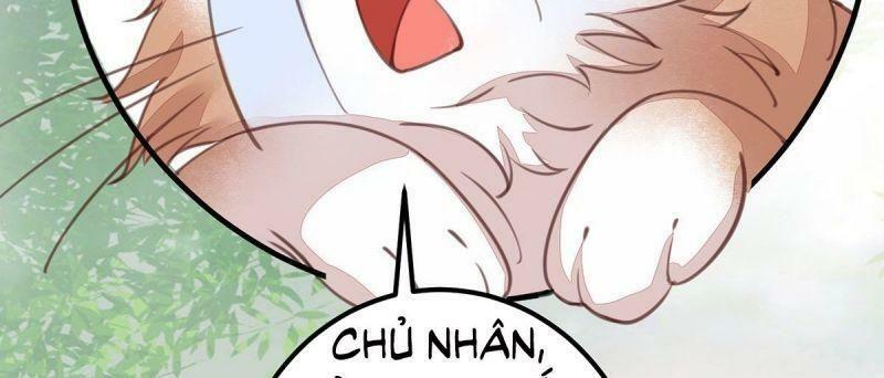 Sát Thủ Vương Phi Không Dễ Chọc Chapter 65 - Next Chapter 66