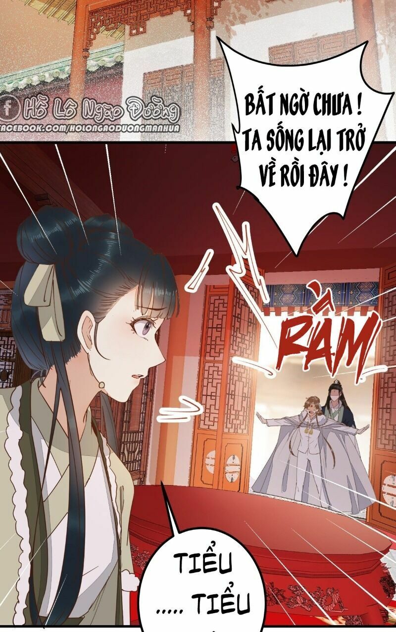 Sát Thủ Vương Phi Không Dễ Chọc Chapter 67 - Next Chapter 68