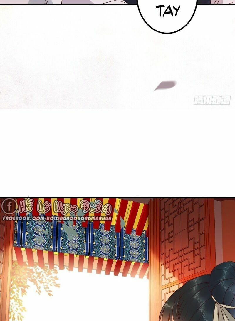 Sát Thủ Vương Phi Không Dễ Chọc Chapter 67 - Next Chapter 68