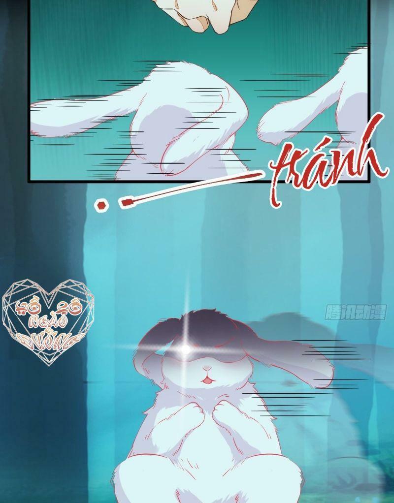 Sát Thủ Vương Phi Không Dễ Chọc Chapter 69 - Next Chapter 70