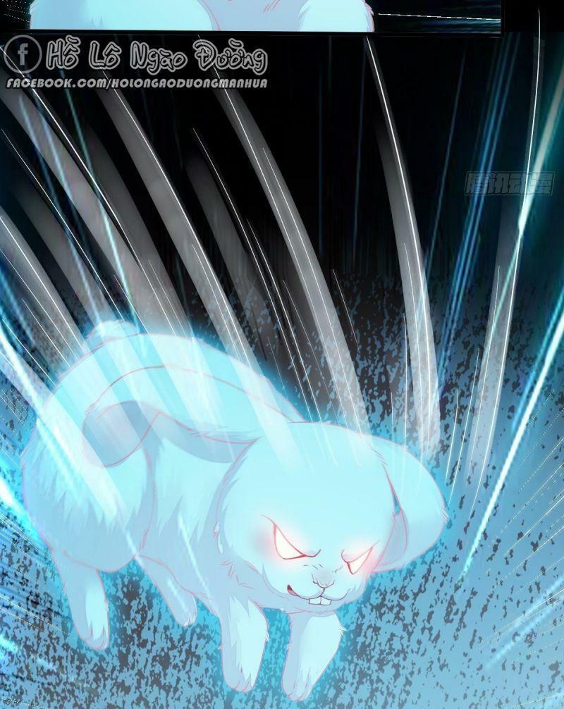 Sát Thủ Vương Phi Không Dễ Chọc Chapter 69 - Next Chapter 70