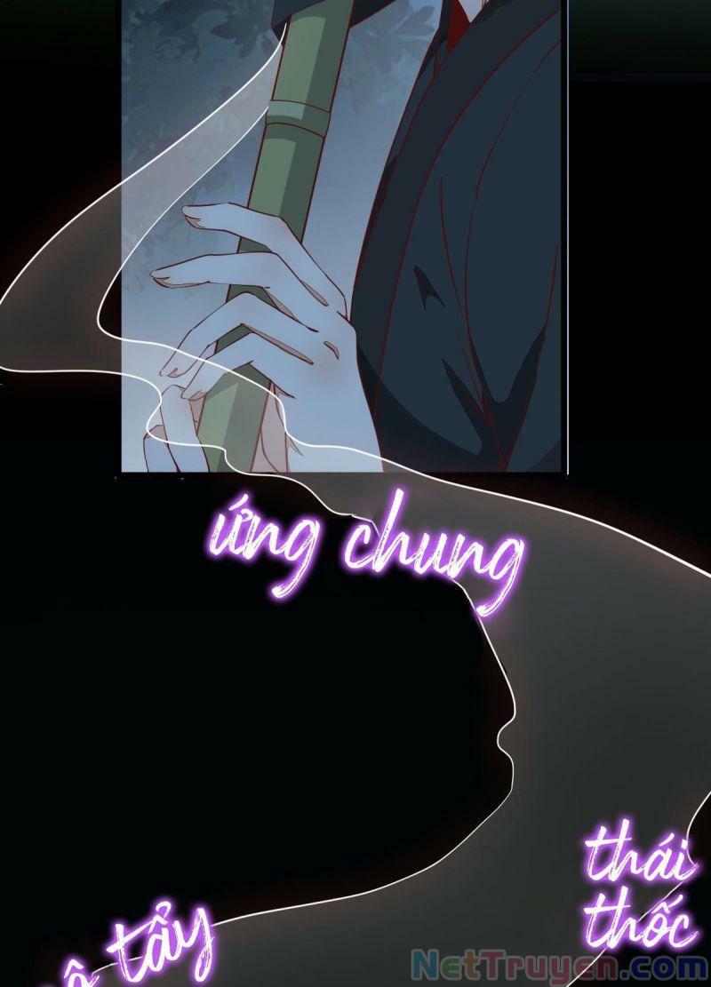 Sát Thủ Vương Phi Không Dễ Chọc Chapter 72 - Next Chapter 73