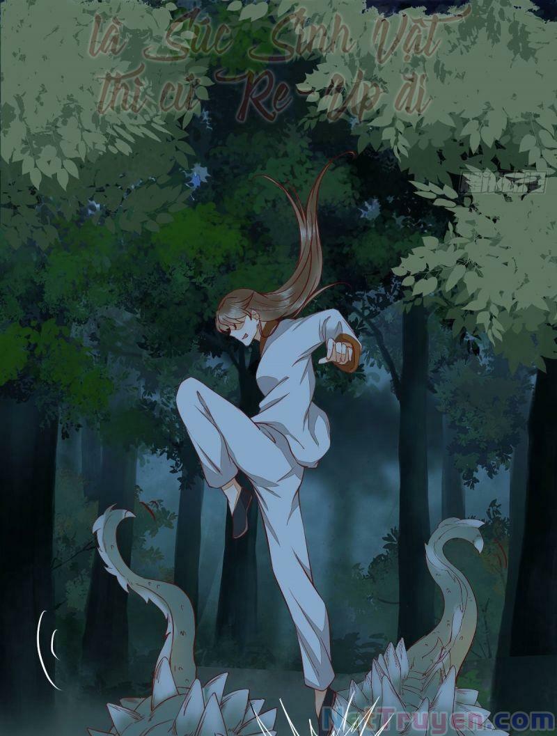 Sát Thủ Vương Phi Không Dễ Chọc Chapter 72 - Next Chapter 73