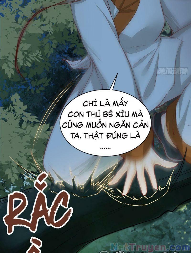 Sát Thủ Vương Phi Không Dễ Chọc Chapter 72 - Next Chapter 73