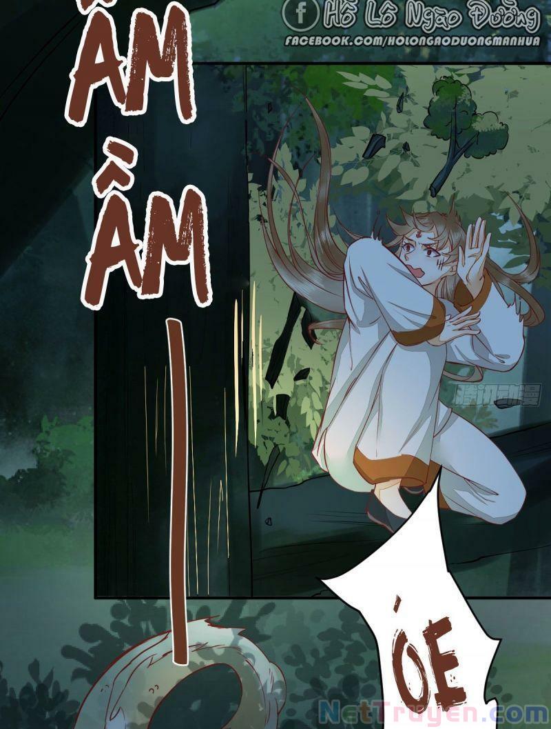 Sát Thủ Vương Phi Không Dễ Chọc Chapter 72 - Next Chapter 73